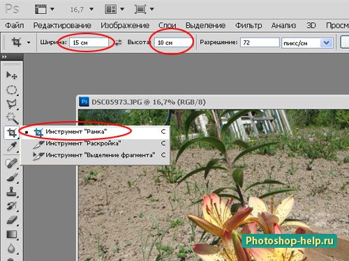 To do this, first take the Frame tool, set the values ​​in width and height in centimeters (sign with the text), set the resolution to standard